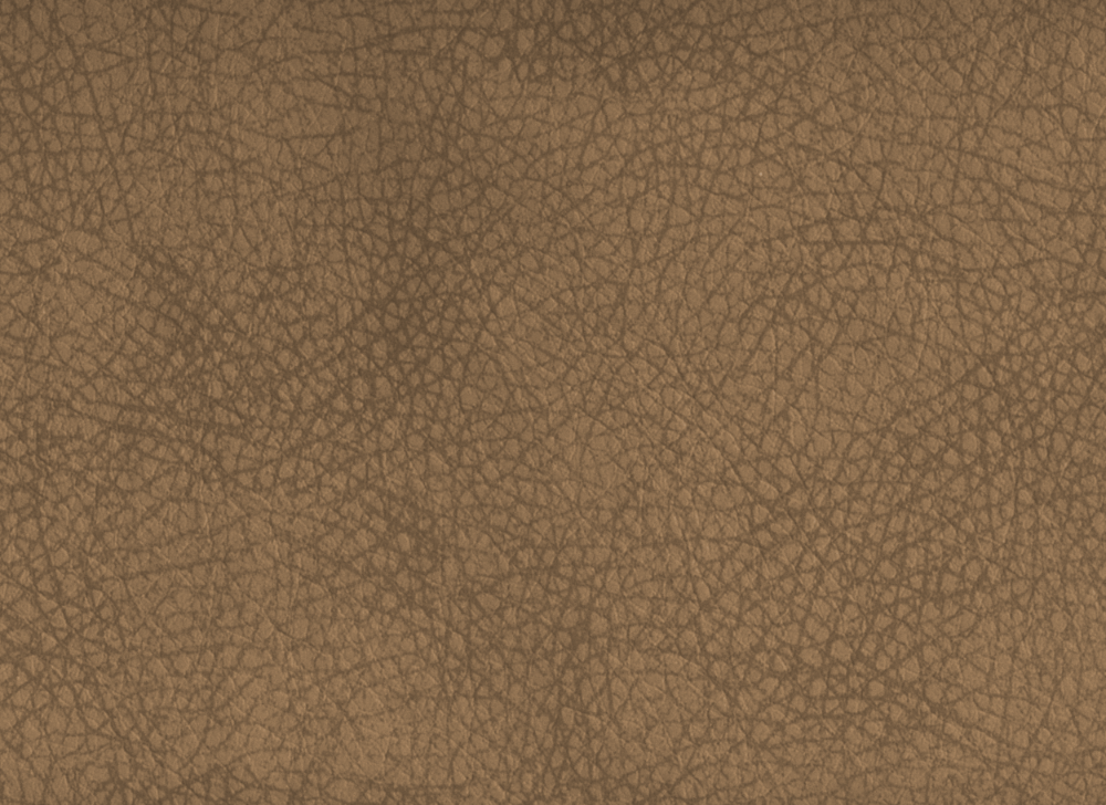 ARGENTINA 1020_taupe